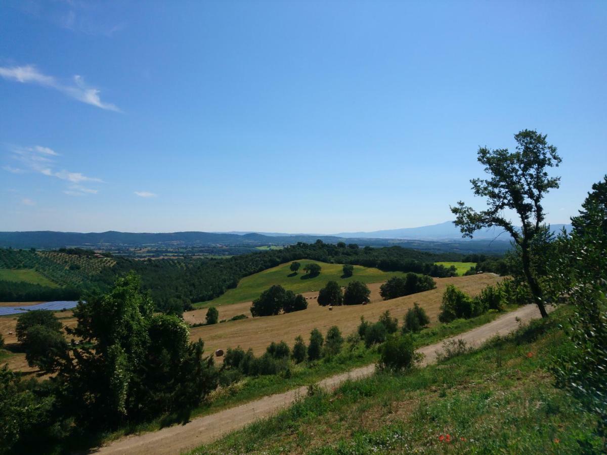 Agriturismo Il Giovannello รอคเคสตราดา ภายนอก รูปภาพ
